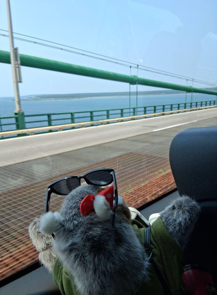 Crossing the Bridge